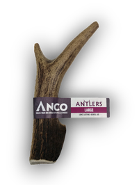 Anco Antlers Large