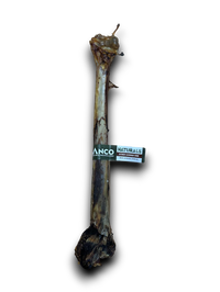 Anco Naturals Ostrich Caveman Bones