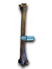 Anco Naturals Ostrich Whole Metatarsus Bone