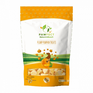 Pawfect Pumpkin Treats