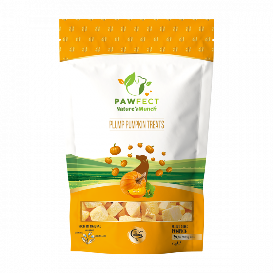 Pawfect Pumpkin Treats