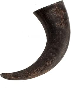 Buffalo Horn