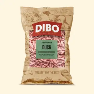 Dibo duck