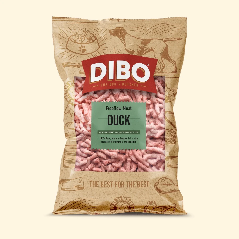 Dibo duck