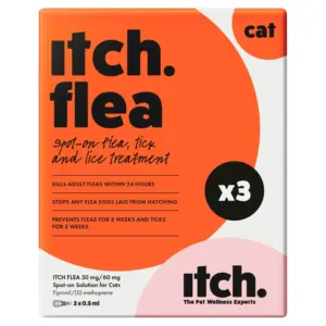 Itch cat