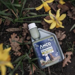 Hemp Seed Oil (250ml-500ml)